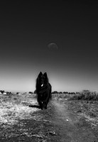 nero and moon