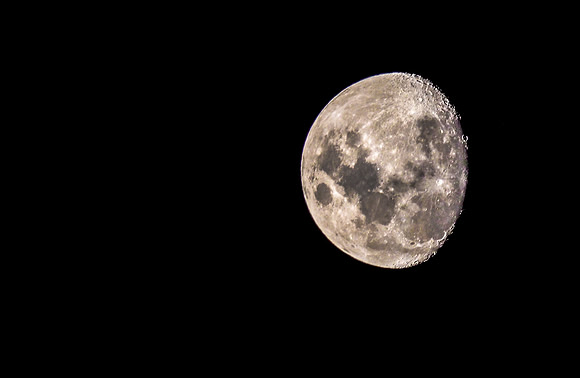 Old Scar Face