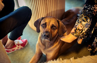 Ridgebackranch-13