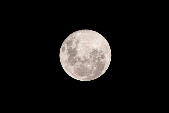 PinkSuperMoon2021