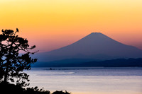 Enoshima Hawk with Fuji