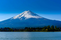 Lone Hawk at Fuji