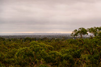 DSC_3646