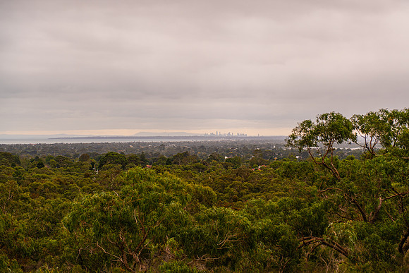 DSC_3646