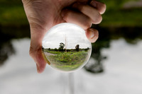 thetree