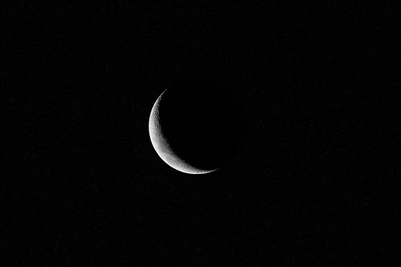 20200427-DSC_3687