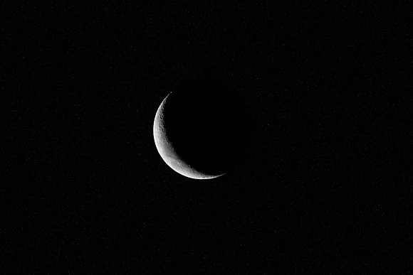 20200427-DSC_3687